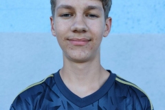 David-Leber