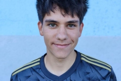 Matej-Majhen